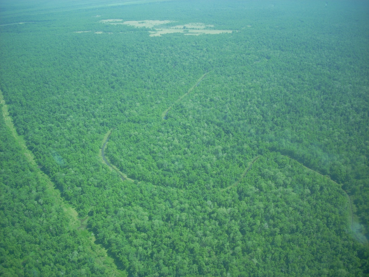 An aerial photo shows coastal wetlands to the west of the Mississippi and Atchafalaya basins, where natural processes are still largely intact.